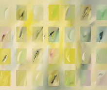 Vol d'un jeune perroquet en février, 73x92, huile sur toile, 2009